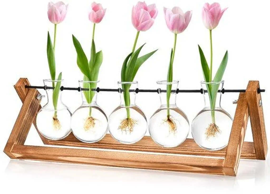 Vase en verre pour bouturage et socle en bois décoratif - Pack de 1