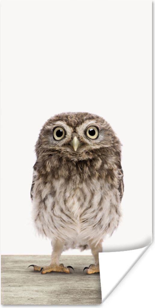 MuchoWow Poster Eule - Braun - Eulenküken - Kinder - Jungen - Mädchen 75x150 cm - Dekoration für die Wände