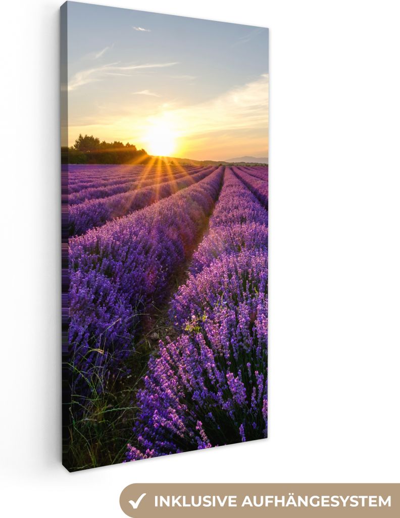 MuchoWow - Leinwandbilder - Lavendel - Blumen - Sonnenuntergang - Lila, Wandbild, Wanddeko Bilder Wohnzimmer, 20x40 cm