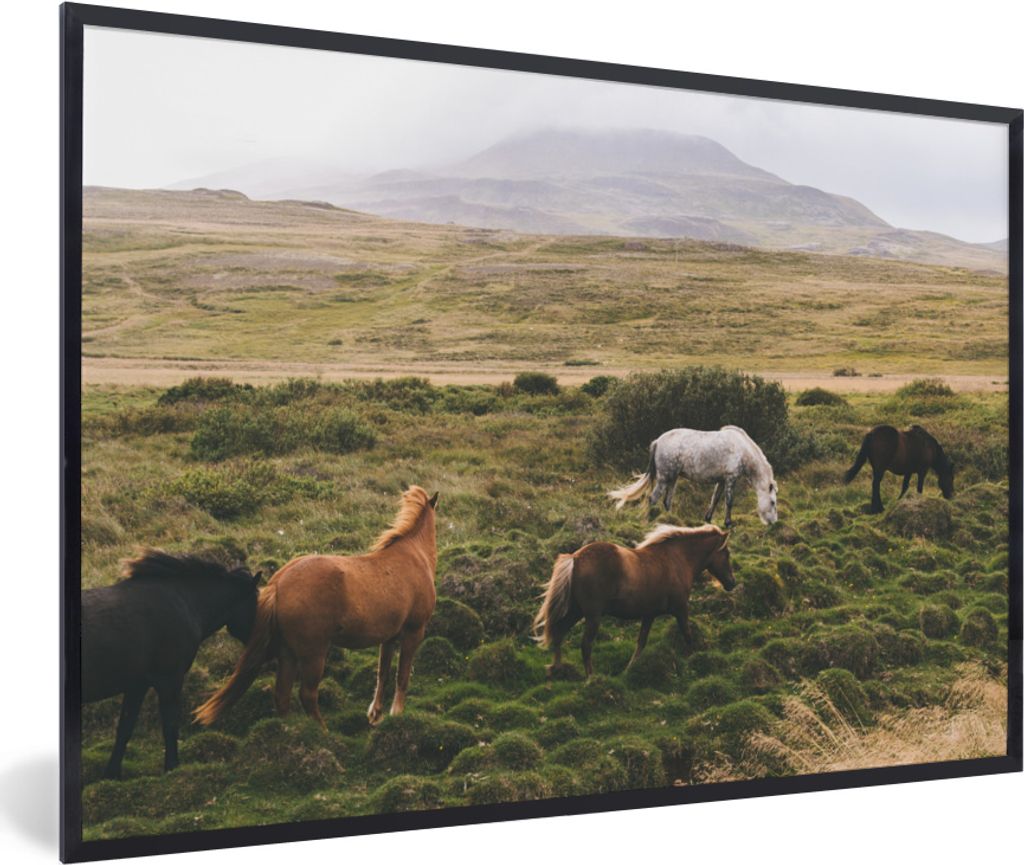 MuchoWow MuchoWow Gerahmtes Poster Pferde - Island - Braun 60x40 cm - Poster mit zchwarzem Bilderrahmen - Printing - Wanddeko Schlafzimmer