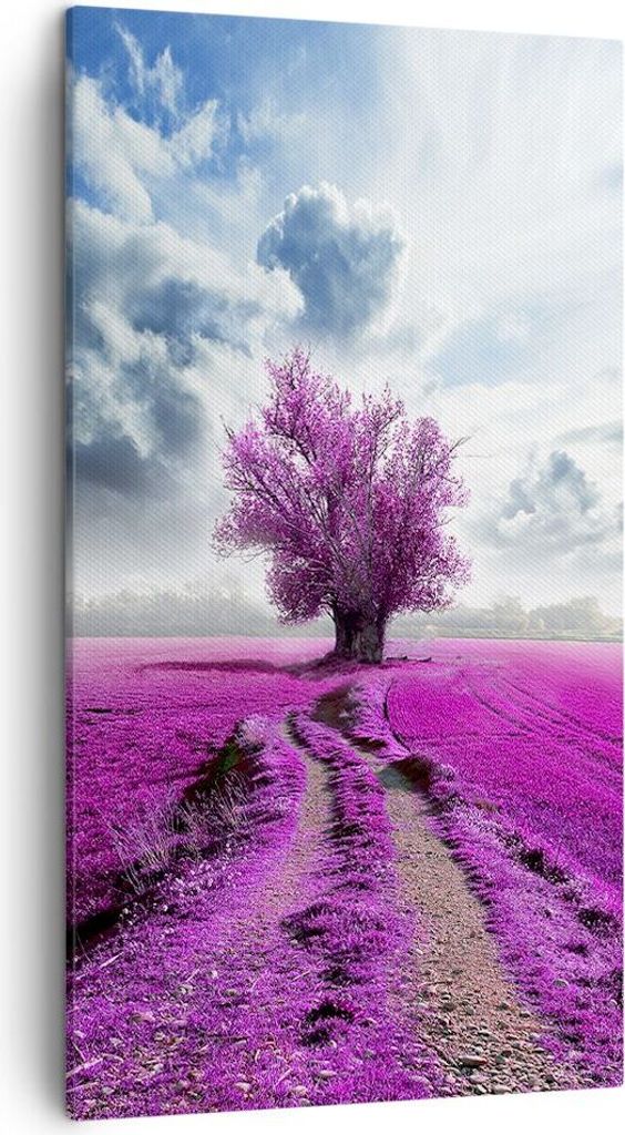 Bild auf Leinwand - Leinwandbild - Heidefeld Baum Wolken Landschaft - 45x80cm - Wand Bild - Wanddeko - Leinwanddruck - Bilder - Kunstdruck - Wandde...