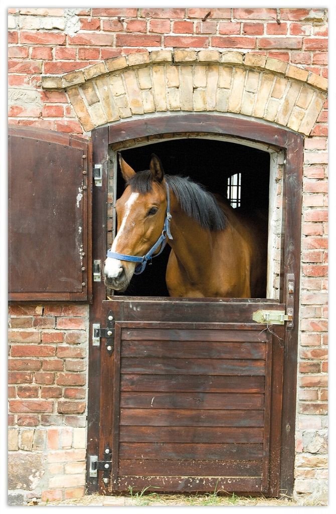 Wallario Premium Teppich, Größe 90 x 140 cm, Pferd im Stall