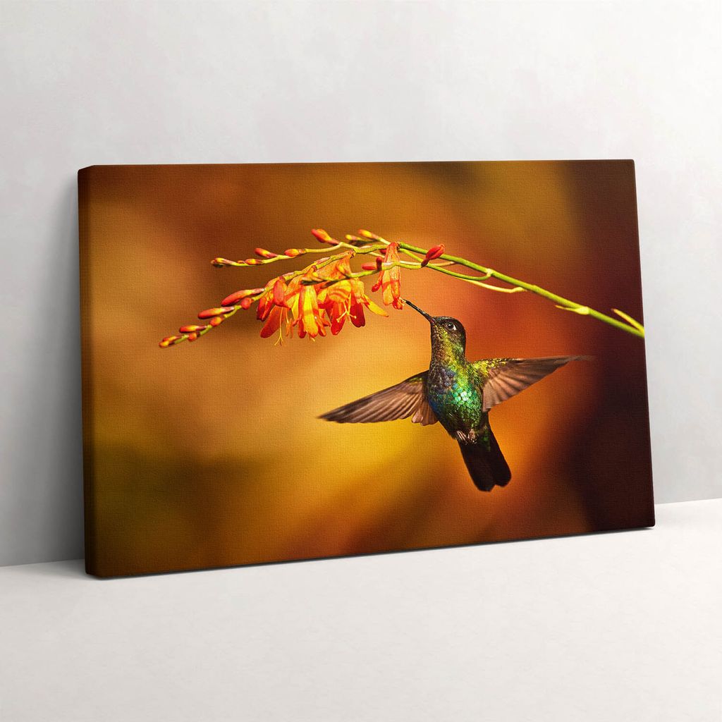 Kolibri-Vogel – Leinwandbild Wandbild – 60x40 cm – Leinwandbilder – Wandbilder – Schlafzimmer – Flur