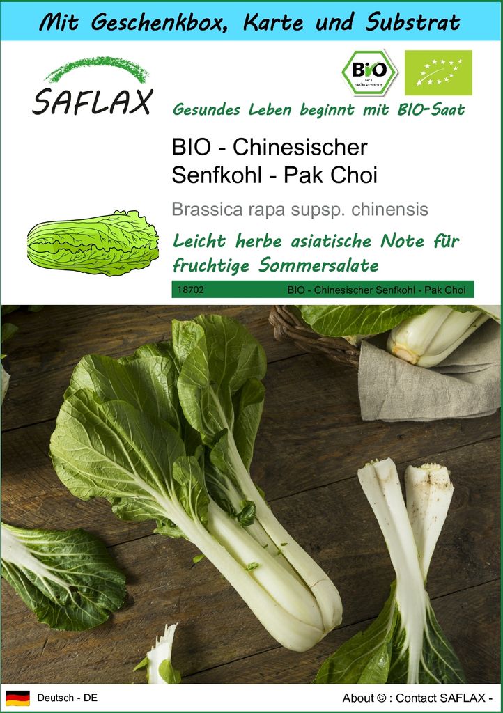SAFLAX - Geschenk Set - BIO - Chinesischer Senfkohl - Pak Choi - 300 Samen - Mit Geschenk- / Versandbox, Versandaufkleber, Geschenkkarte und Anzuch...