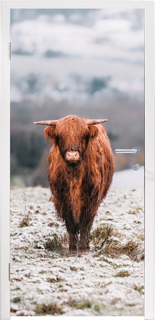 MuchoWow Türtapete Selbstklebende Türfolie Schottischer Highlander - Schnee - Berg 90x235 cm Türposter Türaufkleber Klebefolie Türklebefolie...