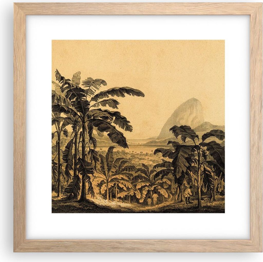 Gerahmtes Poster - Rahmen in heller Eiche - Palmen Wald Regnerisch - 30x30 cm - Wand Bild - Wanddeko - Wandbilder - Kunstposter - Wandposter - Bild...