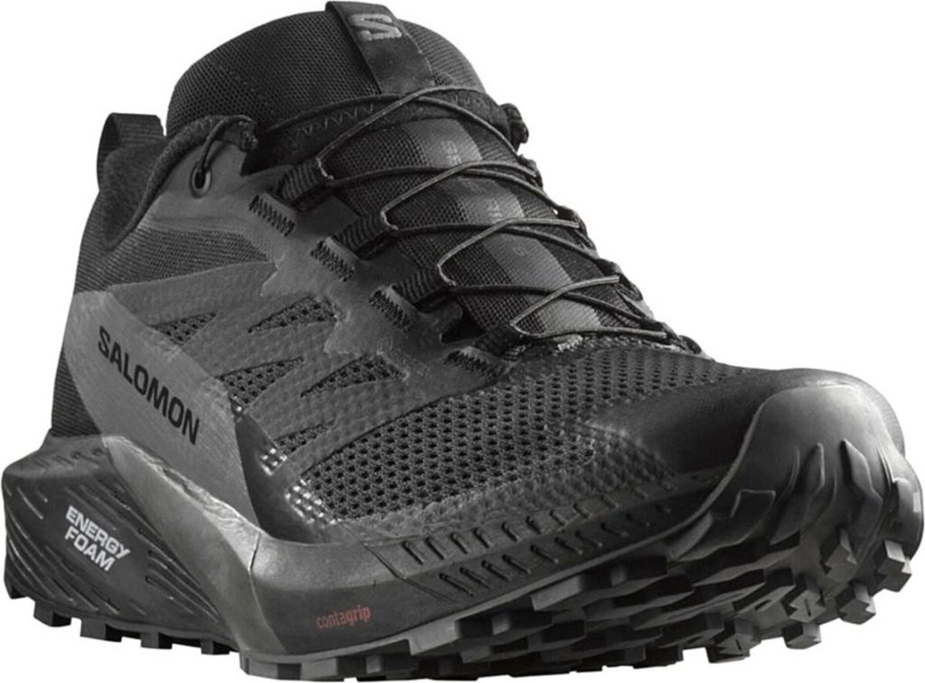 Schuhe Salomon Sense Ride 5 Gtx 471472