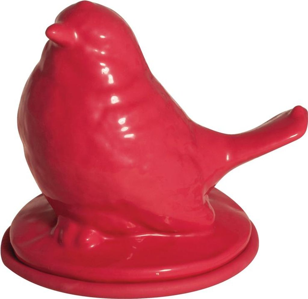Rayher Latex Gießform Vogel 11 5x10 cm für kreative Bastelprojekte 300 ml