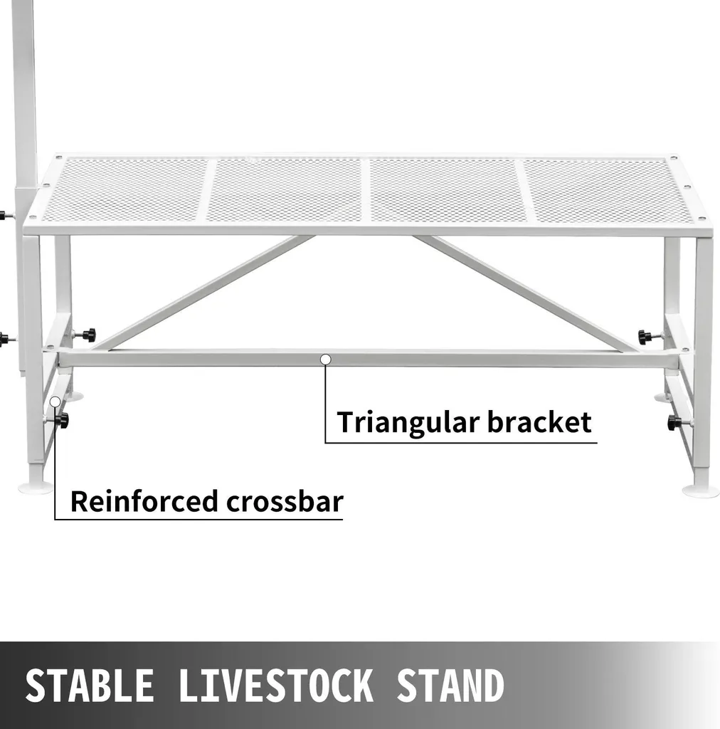 Table de Soins Animaux Réglable 150kg - Support Stable Usage Hivernal