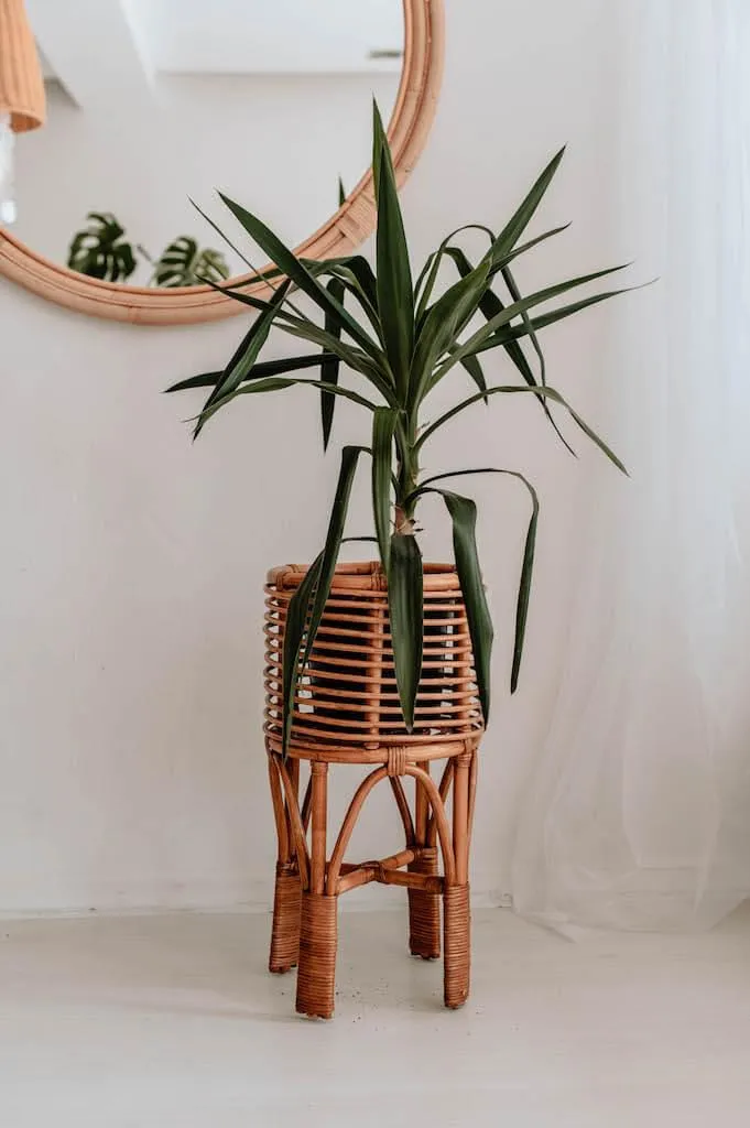 Cache-pot sur pied en rotin Pollie S caramel pour décoration intérieure