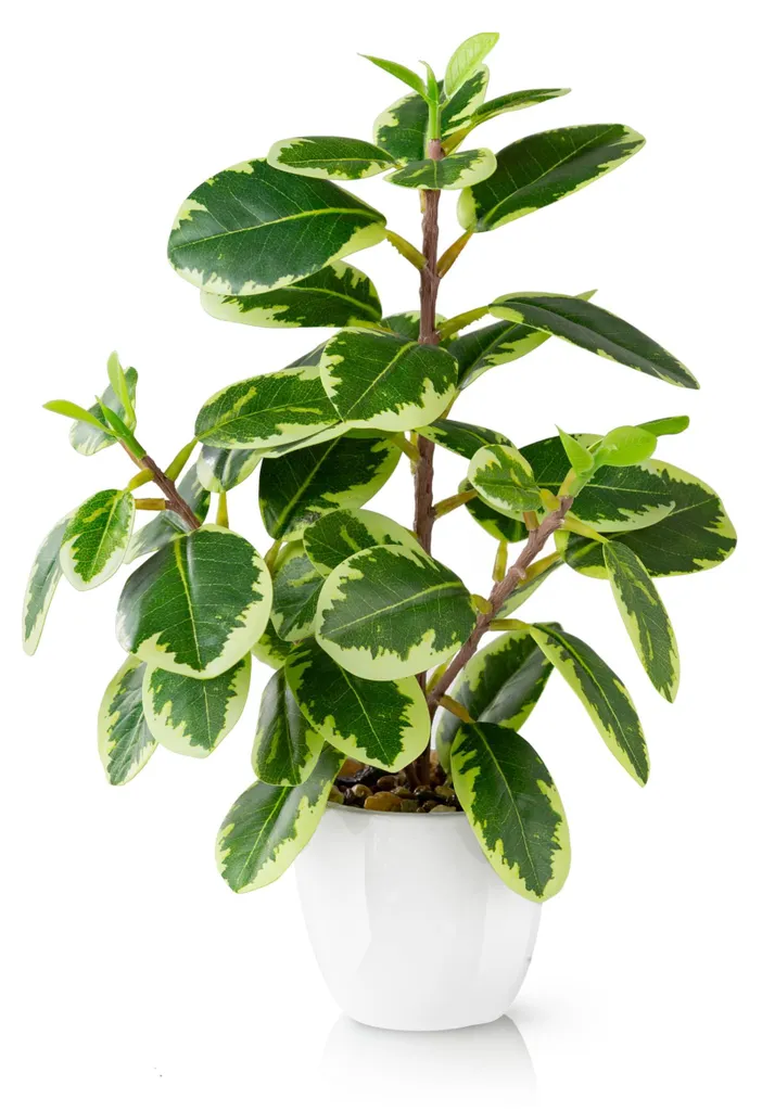 Déco bureau : Camélia artificiel en pot de 29 cm pour intérieur sans eau
