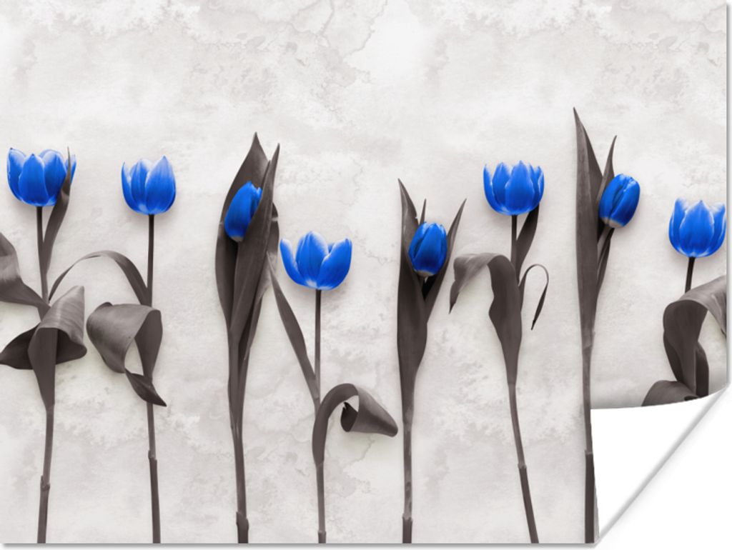 MuchoWow Poster Blumen - Tulpen - Blau 40x30 cm - Plakate für die Wände - Poster Wohnzimmer