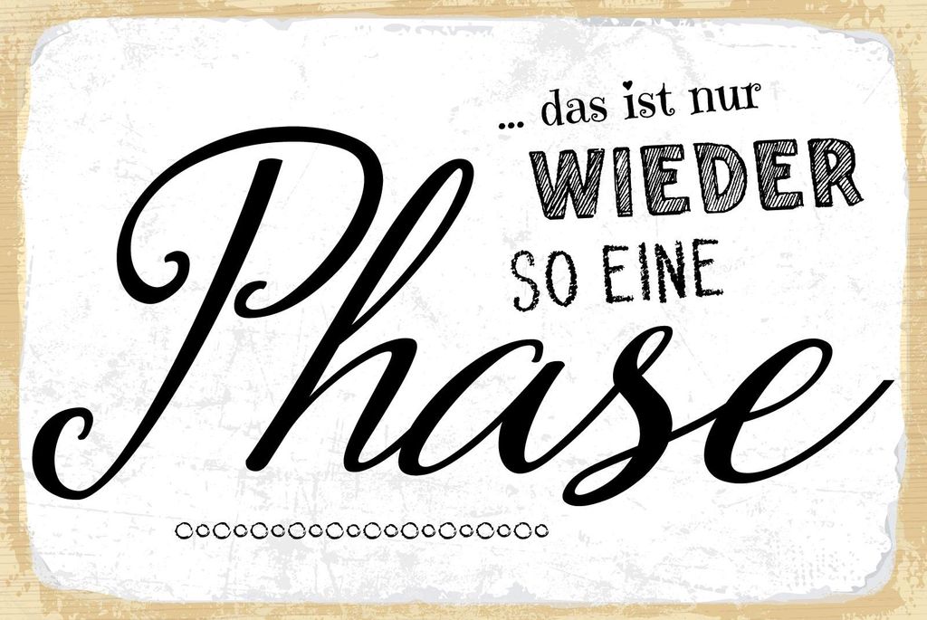 vianmo Holzschild 20x30 cm nur wieder so eine Phase