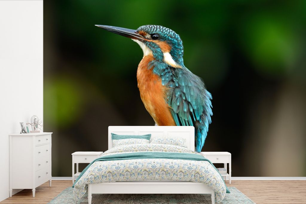 MuchoWow Fototapete für Wohnzimmer oder Schlafzimmer Wandtapete Vinyl Motivtapete Zweige - Eisvogel - Park - 600x400 cm - Vinyltapeten