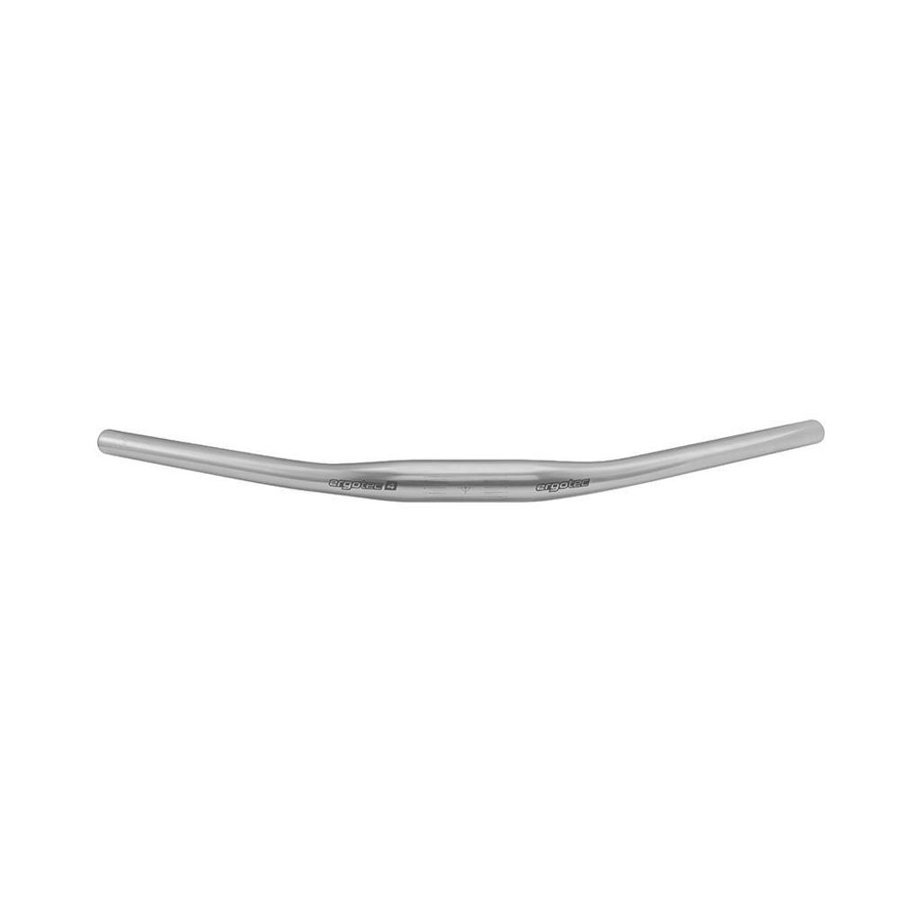 E-BIke Lenker Ergo Tec Moon 31,8 mm silber lvl 4 Produktbild 