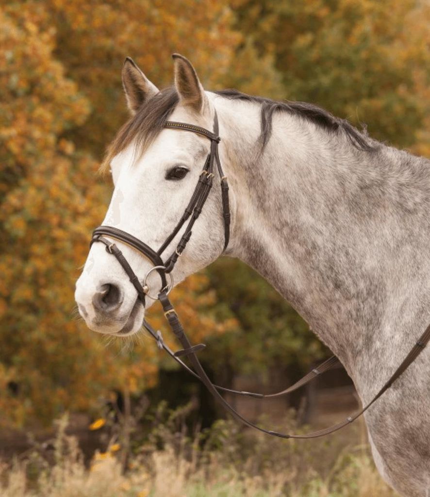 Star Diamond Snaffle Brown Cob Brown Cob Obrázek produktu 