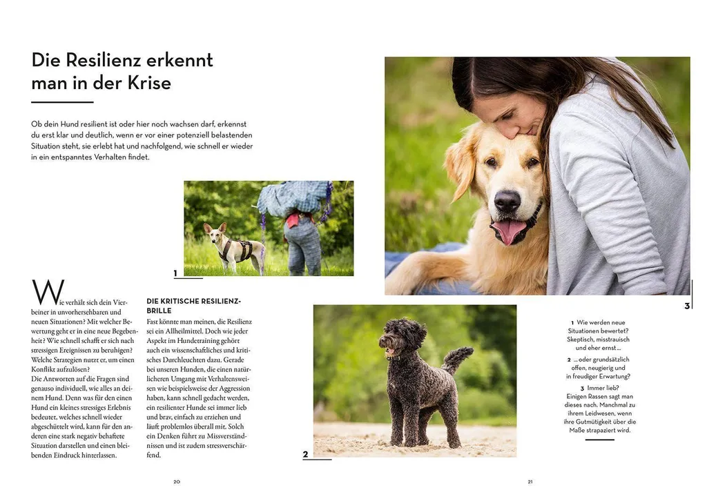 Résilience Canine : Techniques de Gestion du Stress pour Chien Actif