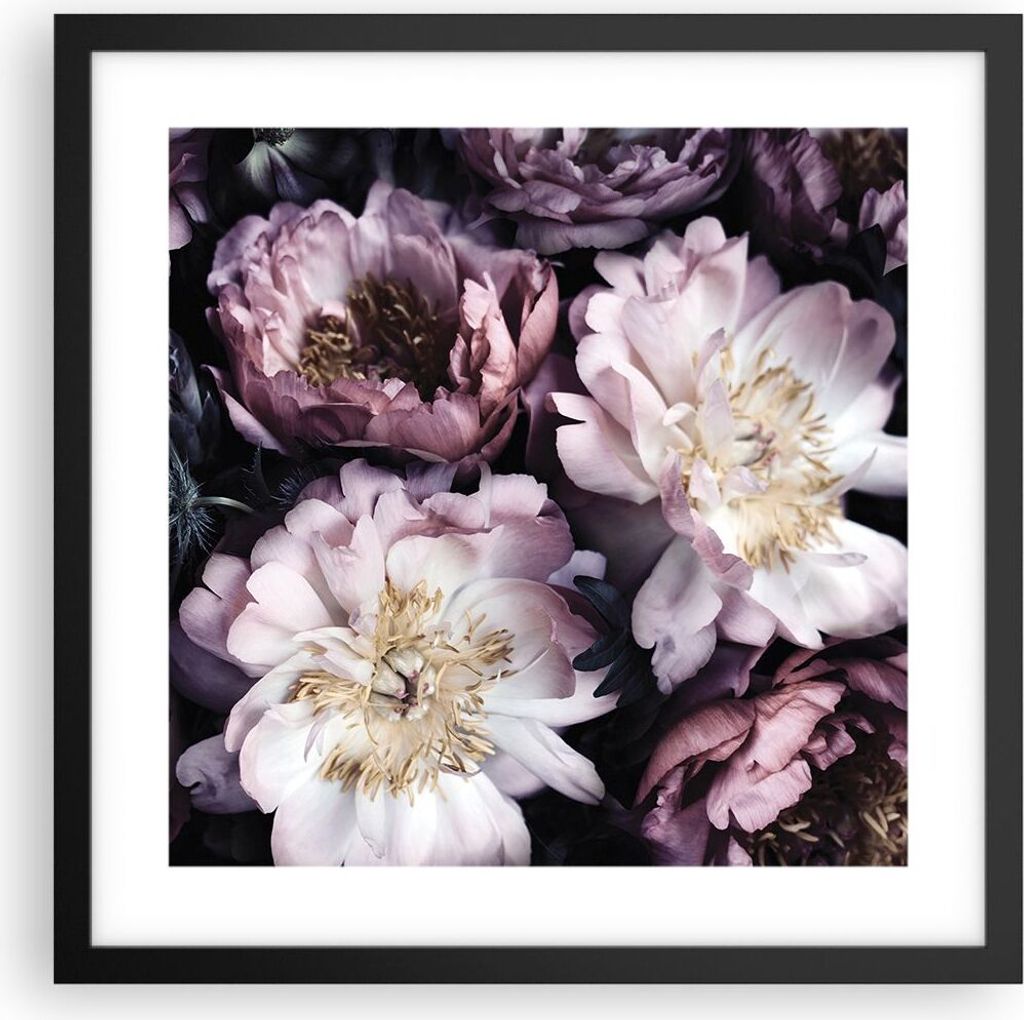 Gerahmtes Poster - Schwarzer Rahmen - Pfingstrosen Veilchen Blumen - 40x40 cm - Wand Bild - Wanddeko - Wandbilder - Kunstposter - Wandposter - Bild...