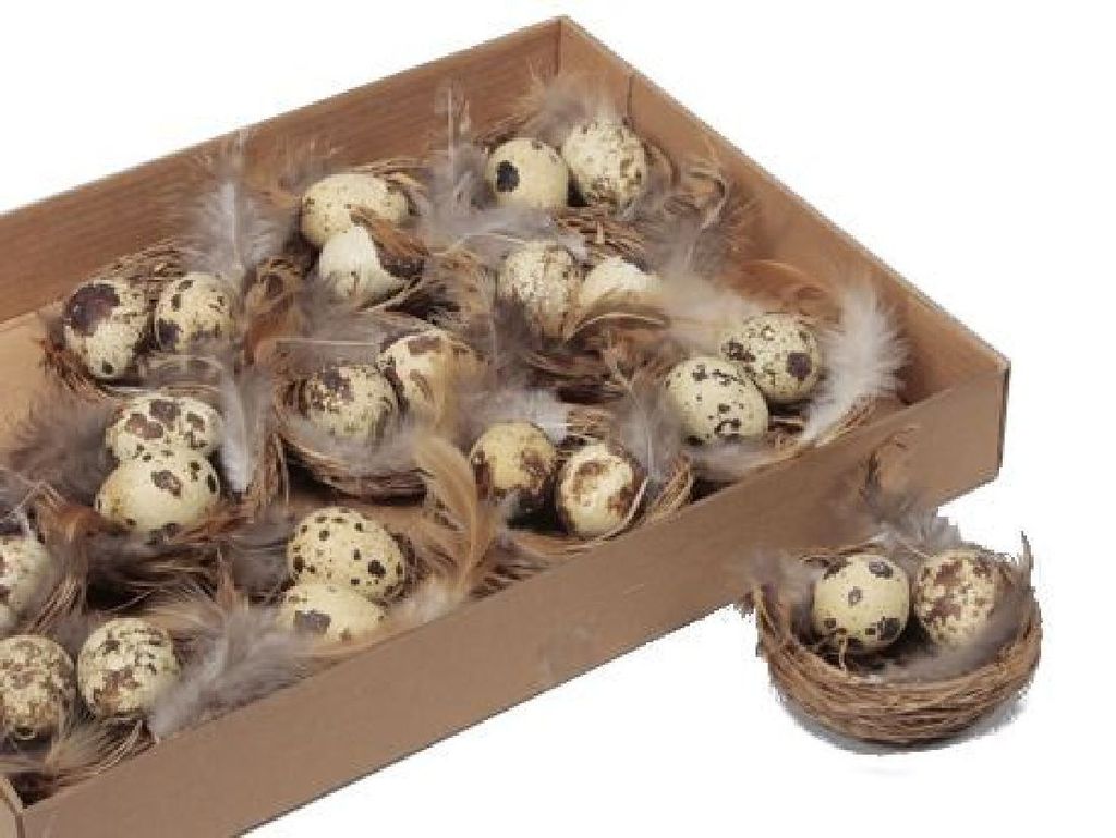 Nest mit Wachteleiern I 12 Stück I Ø7cm I kleines Osternest mit Eiern und Federn - 1,98 € pro Stück