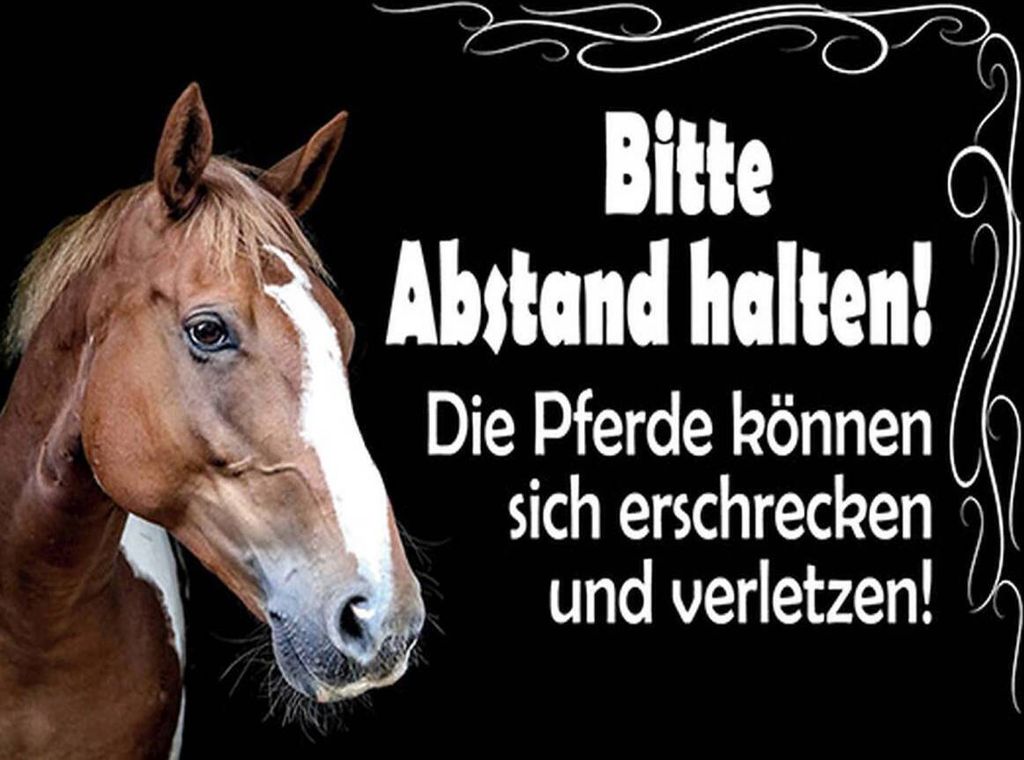 vianmo Holzschild 30x40 cm bitte Abstand halten Pferde