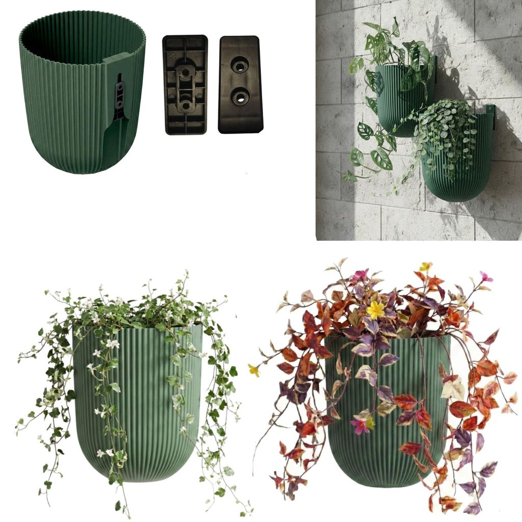 Lot de 2 supports muraux pour plantes, pot de fleurs mural, Image du produit 