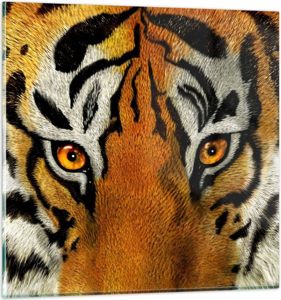 Bilder auf glas - Tiger Tiere Natur Safari - 30x30cm - Glasbilder - Wandbilder - Kunstdruck - zum Aufhängen bereit - Wanddekoration aus Glas - Gla...