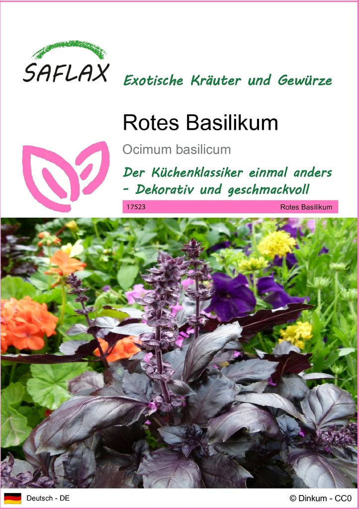 SAFLAX - Kräuter - Rotes Basilikum - 200 Samen - Ocimum basilicum