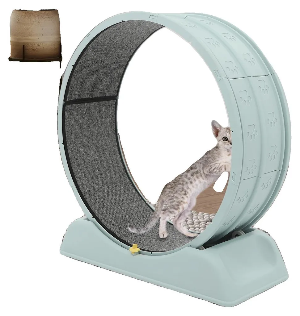 Exercice chat d'appartement : roue d'entraînement 80cm résine 10kg max