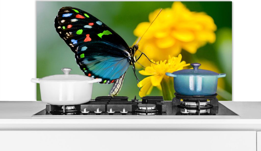 KitchenYeah Spritzschutz Küche - Küchenrückwand - Wandschutz für Herd und Spüle - Schmetterling - Blume - Tier - Insekt 100x50 - Alu-Dibond...