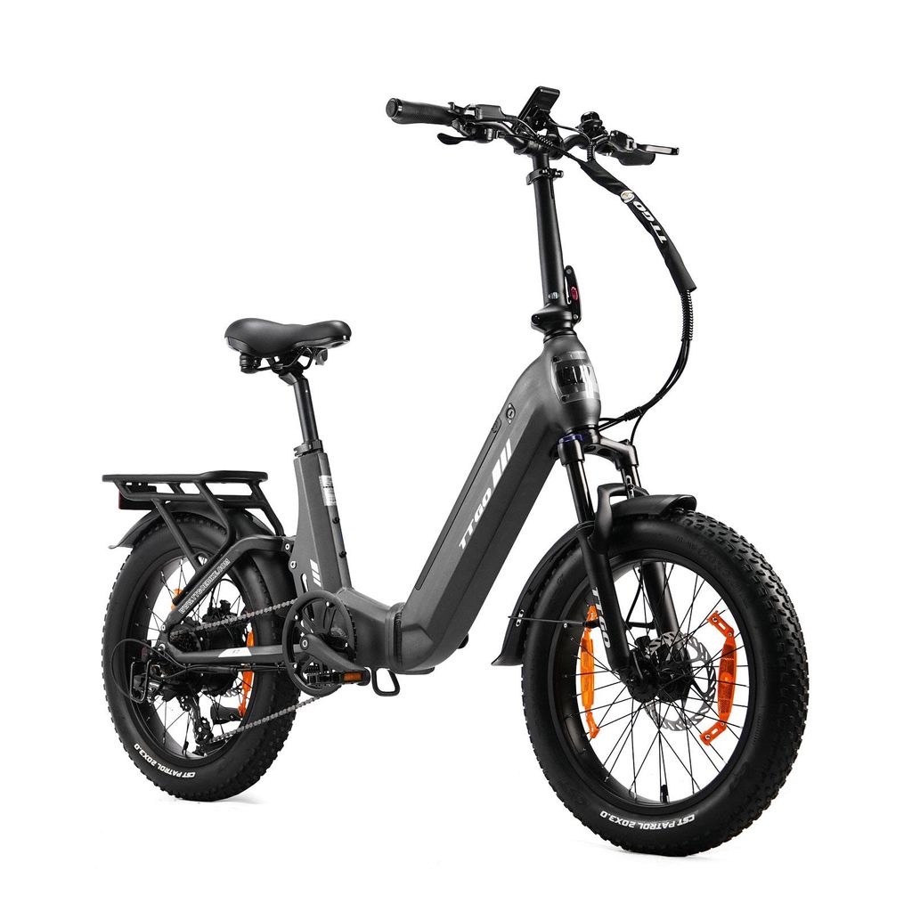 48V 15Ah E-Bike Softtail-Federung 7-Gang Getriebe 20 *4.0" Produktbild 