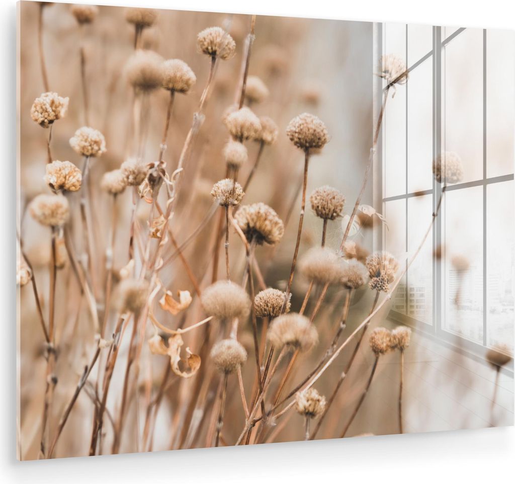 MuchoWow Glasbilder - Bilder auf Wandbild - Foto auf Glas Getrocknete Blumen - Beige - Natur 40x30 cm Wanddekoration aus Glas - Acrylglasbild - Acr...