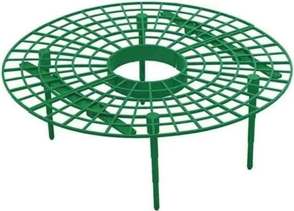 Support Fraisier Lot de 5 Tuteurs de Jardinage pour Fruits Sain 30cm