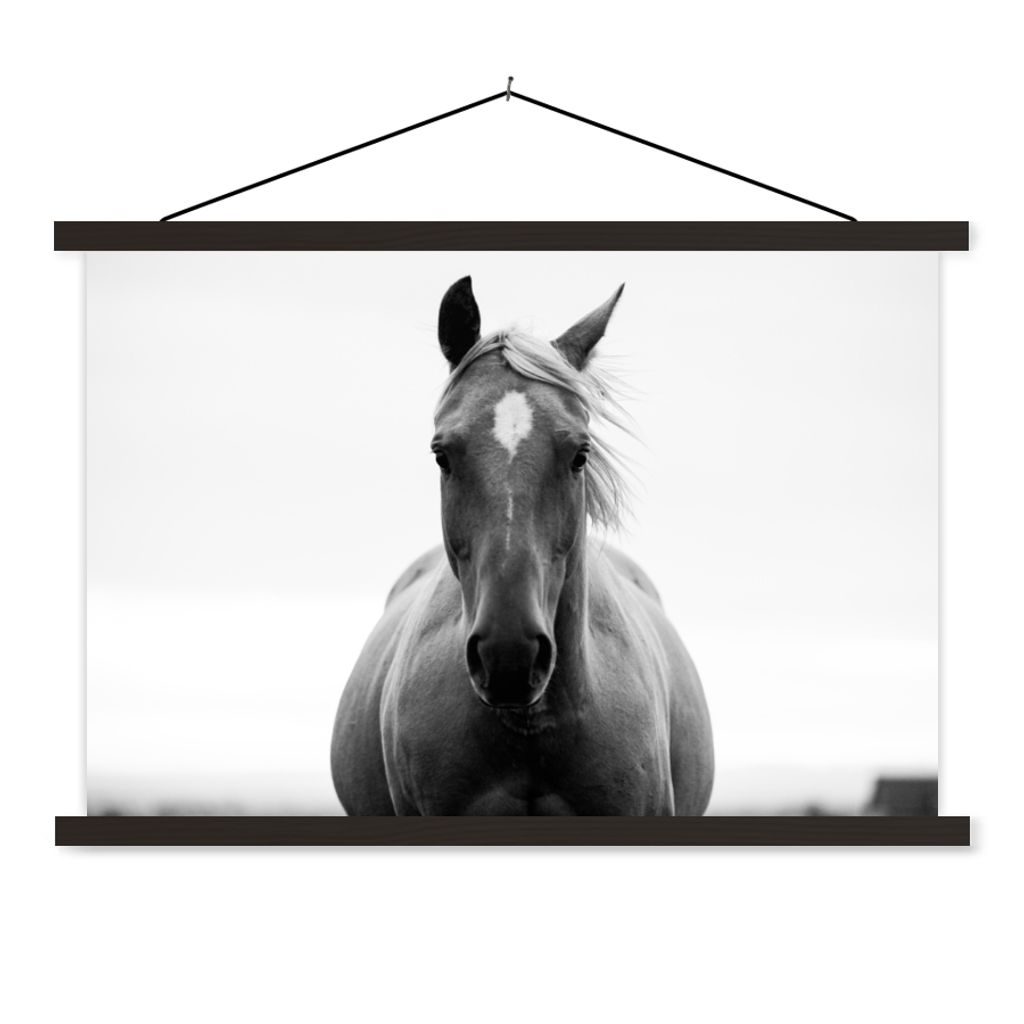 MuchoWow Textilposter Pferd - Schwarz - Weiß - Porträt 60x40 cm mit schwarzem Rahmen - Hölzernes