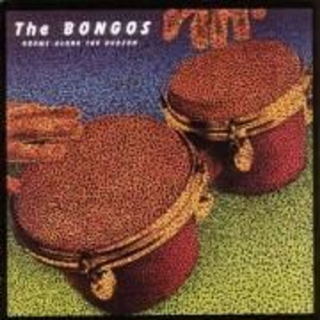 Bongos,The-Drums Along The Hudson (Special Edition
