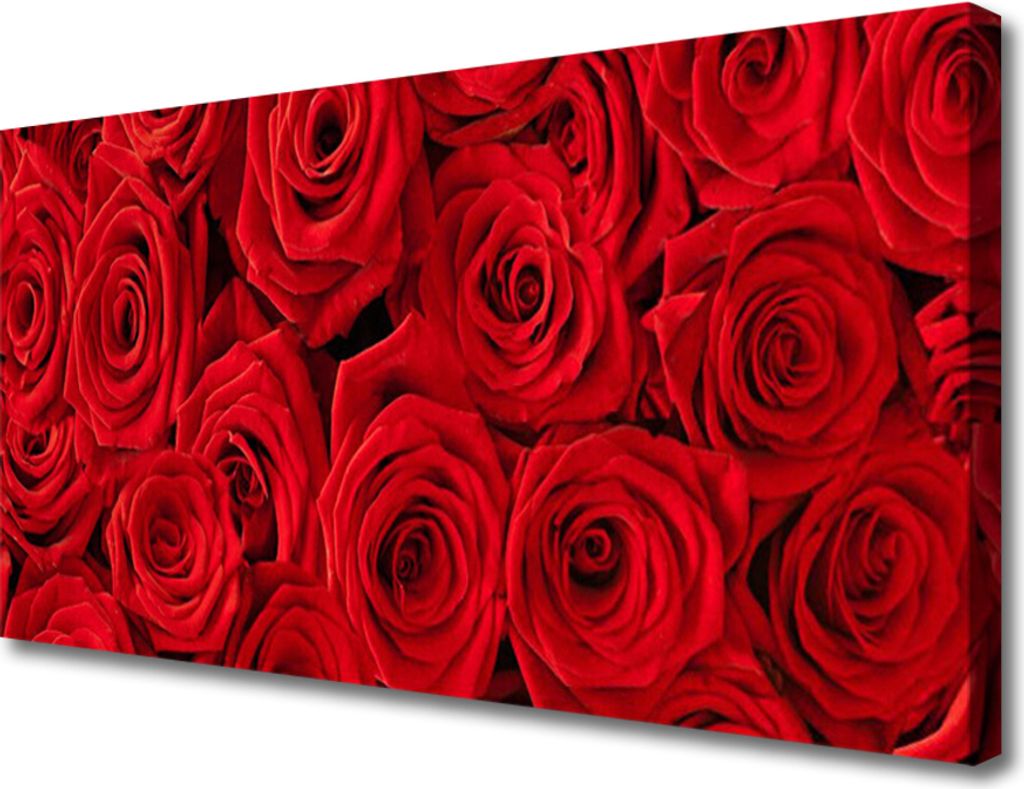 Tulup Leinwand-Bilder 100x50 Wandbild Canvas Kunstdruck Rosen Pflanzen