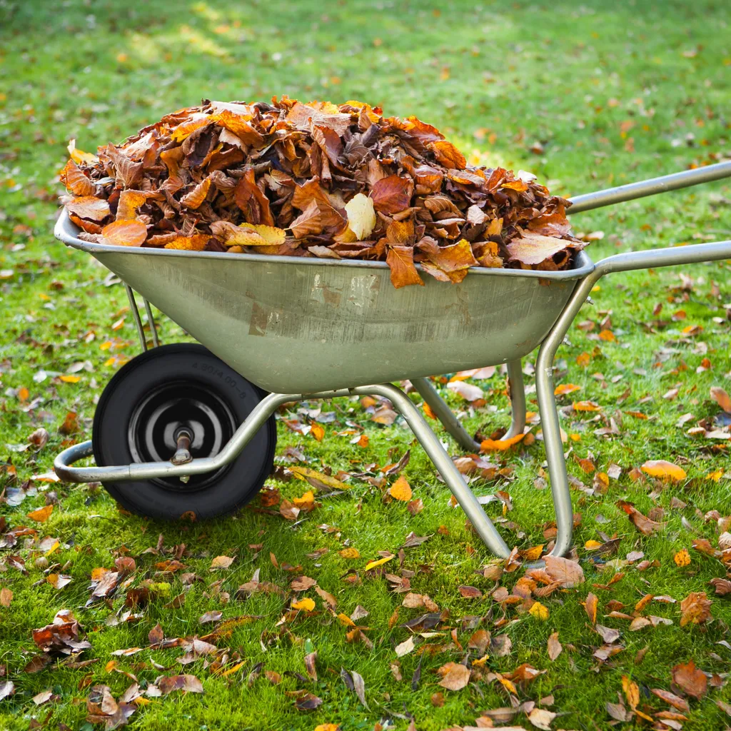 Relaxdays Roue de brouette 4.80 4.00-8 avec adaptateurs axe inclus