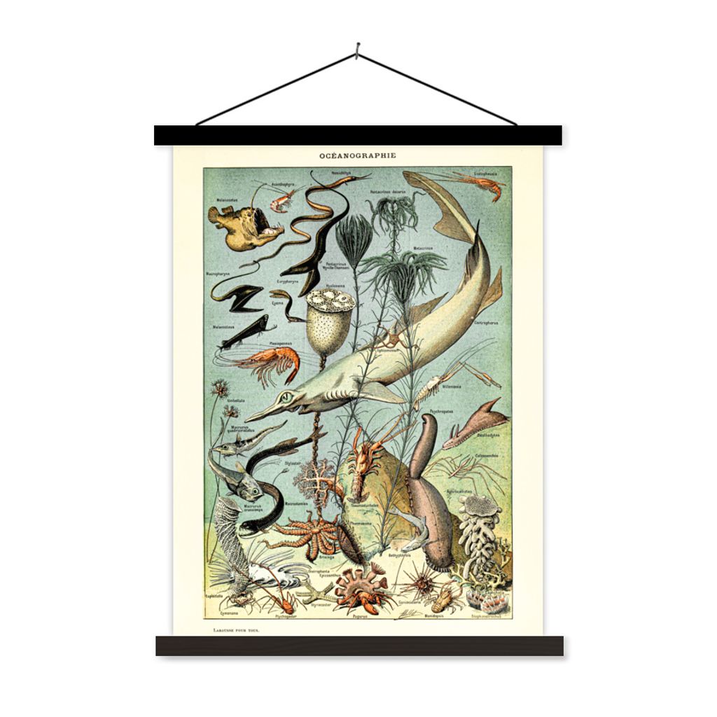 MuchoWow Textilposter Tiere - Meer 40x53 cm mit schwarzem Rahmen - Abbildung