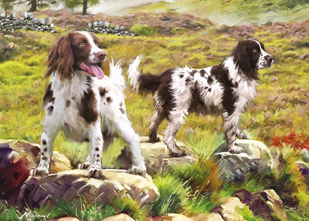 Otter House Puzzle Tierpuzzle Spaniel on Moor - 1000 Teile
