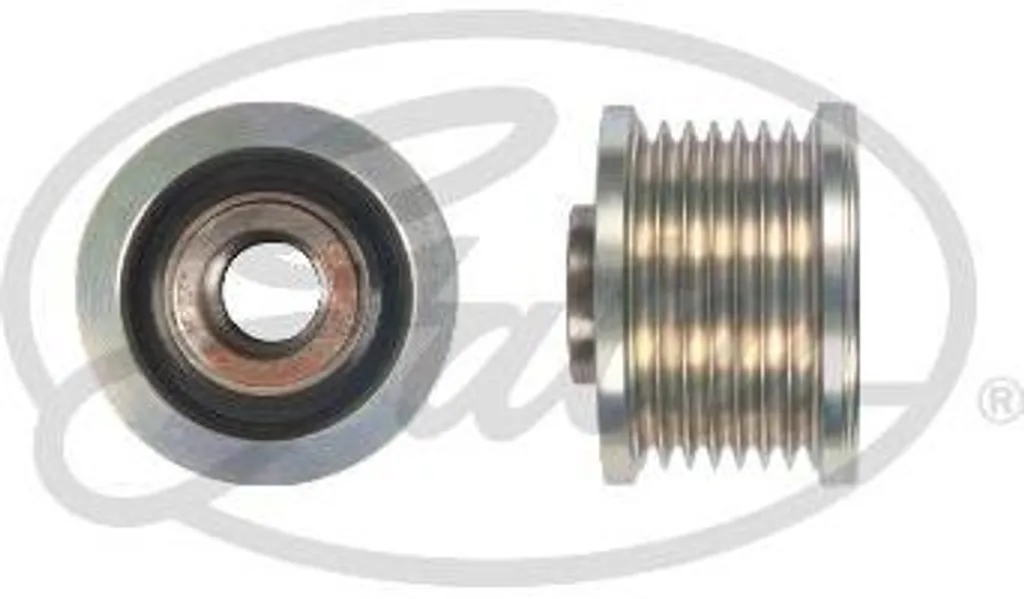 Stop bruits moteur avec la poulie alternateur Gates OAP7231 pour Citan