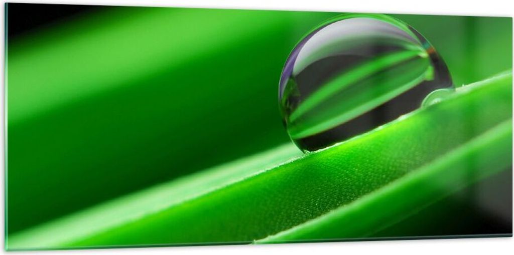 Bilder auf glas - Pflanze Tropfen Wasser Blase - 120x50cm - Glasbilder - Wandbilder - Kunstdruck - zum Aufhängen bereit - Wanddekoration aus Glas ...