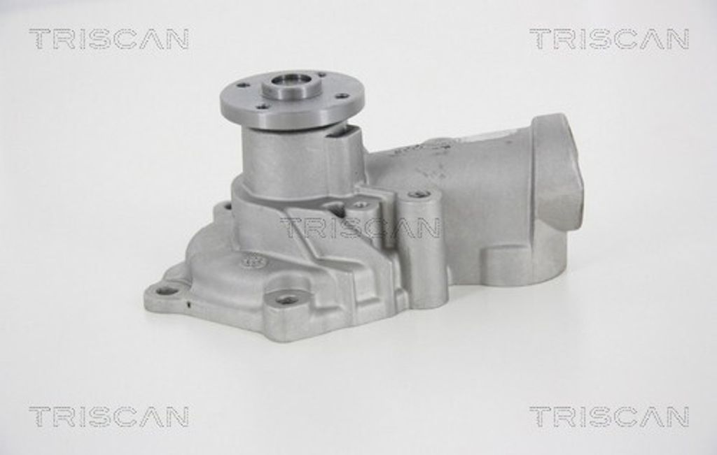 TRISCAN Wasserpumpe 8600 42019