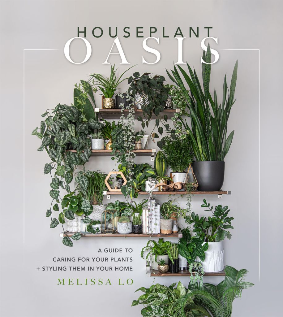 Houseplant Oasis – Lingua: Inglese