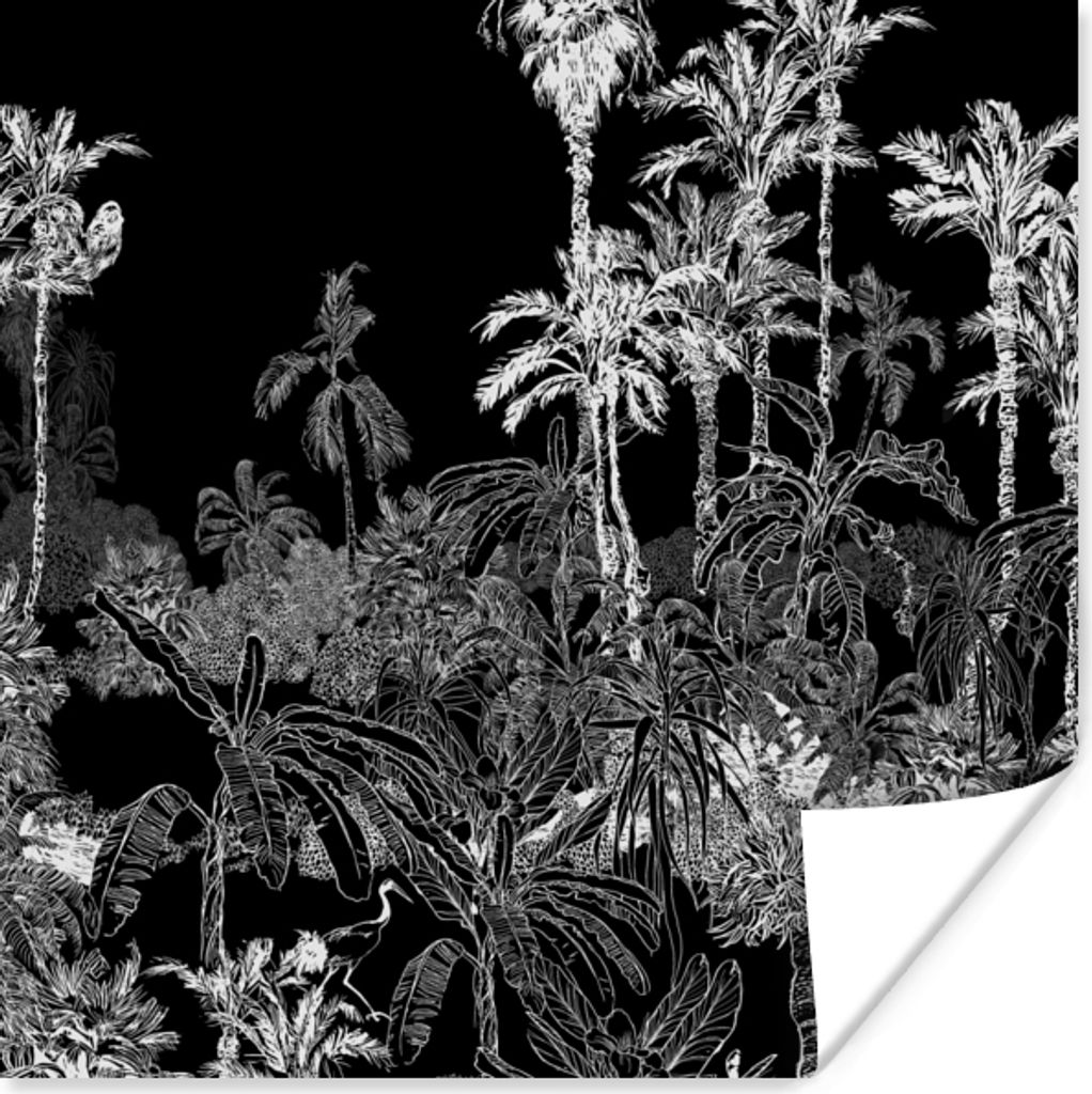 MuchoWow Poster Palme - Dschungel - Tropisch 30x30 cm - Wandposter - Printing