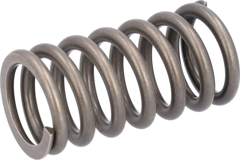 FEBI BILSTEIN Ventilfeder 182915 für IVECO EUROSTAR 0,128kg