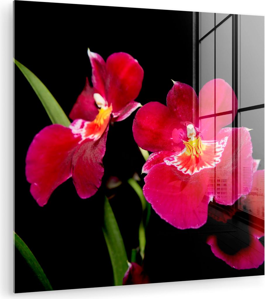 MuchoWow Glasbilder - Bilder auf Wandbild - Foto auf Glas Rote Orchideen vor schwarzem Hintergrund 90x90 cm Wanddekoration aus Glas - Acrylglasbild...