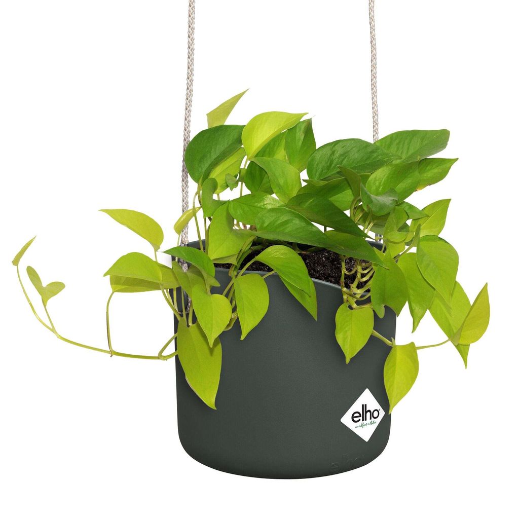 Elho Blumentopf Schaukel 18 cm Blattgrün Hängepflanztopf Produktbild 