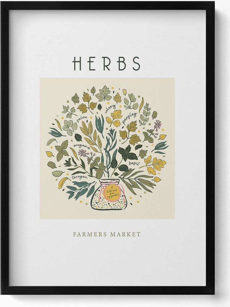 Illustration von Kräutern– Wandbild mit Rahmen – Gerahmtes Bild – Wanddekoration – 50x70 cm – Schwarz Rahmen