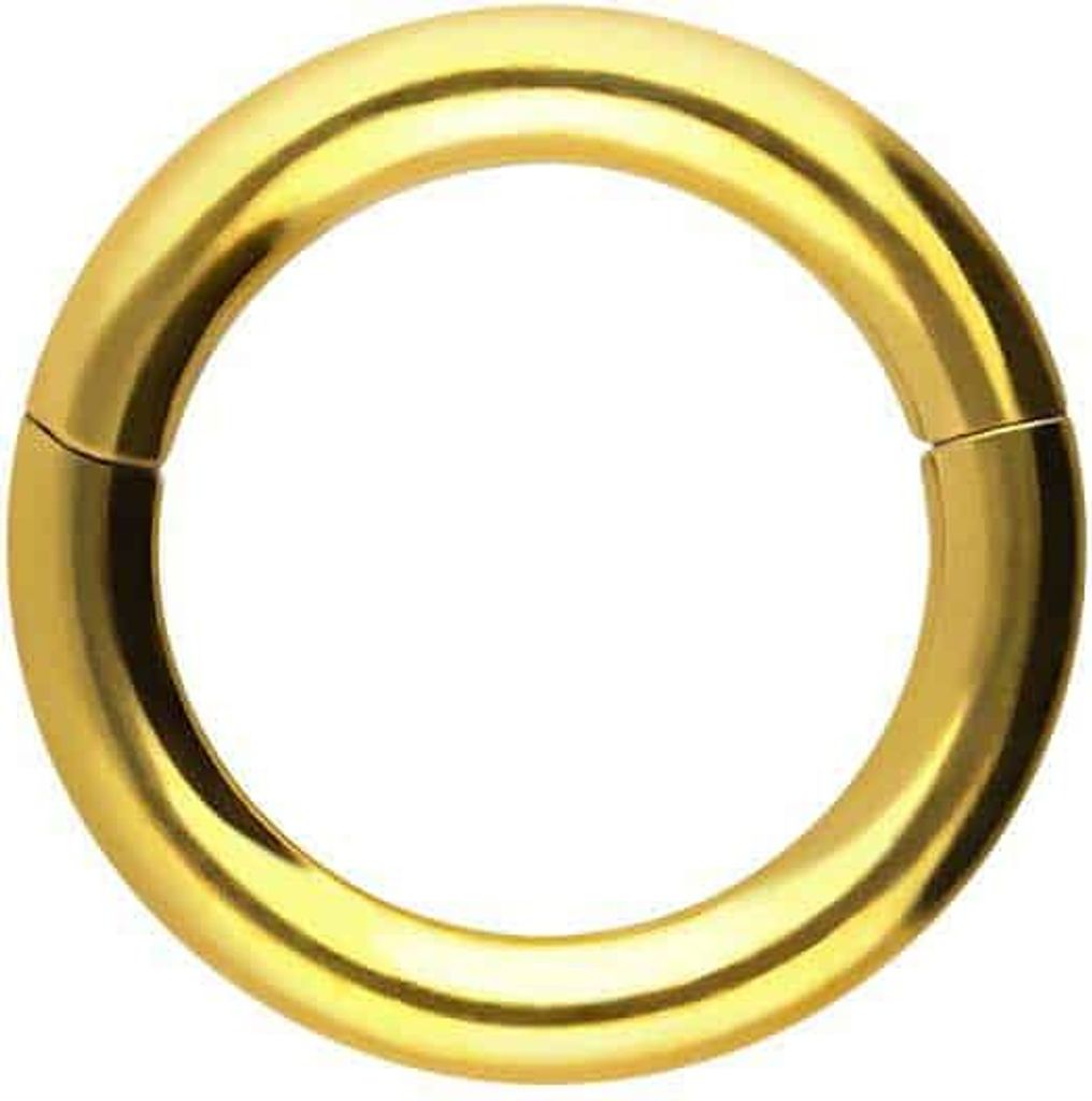 Ohrpiercing, Nasenpiercing, Septum Piercing Titan Segmentring Clicker Gold Innendurchmesser: 7mm + Stabstärke: 1,6mm