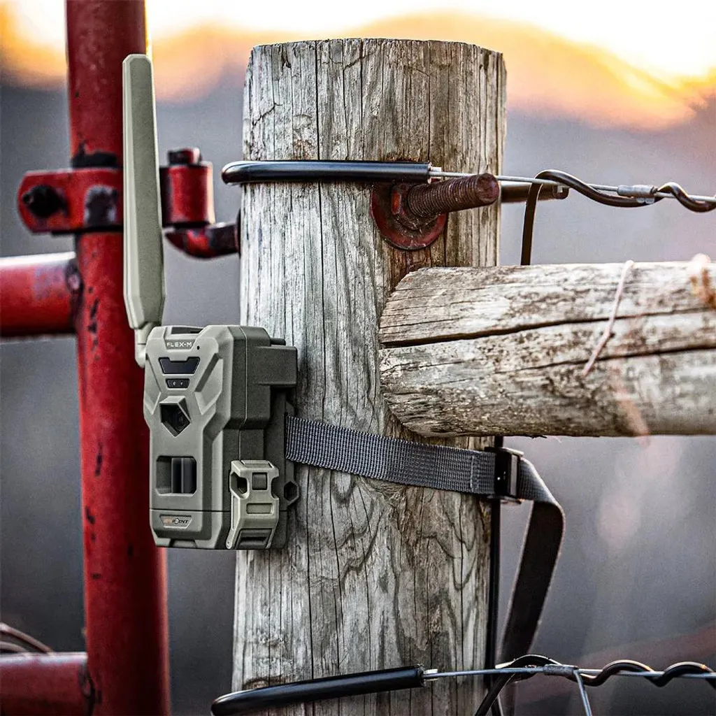 Caméra de chasse connectée Spypoint FLEX-M Twin Pack - Lot de 2 unités - 8