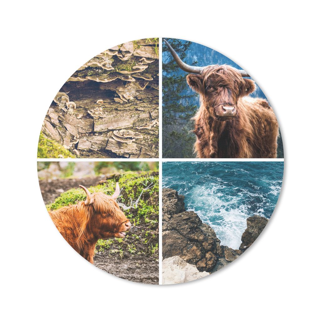 MuchoWow Mauspad Mousepad Schottische Highlander - Natur - Meer 50x50 cm - Mousepads - Maus Mat - Pad - Mausunterlage - Vinyl